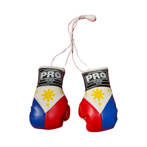 gloves in filipino|GLOVES Meaning in Tagalog .